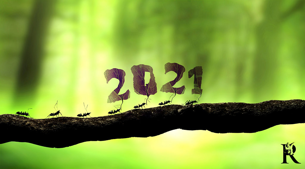 ants carrying 2021 number for the new year